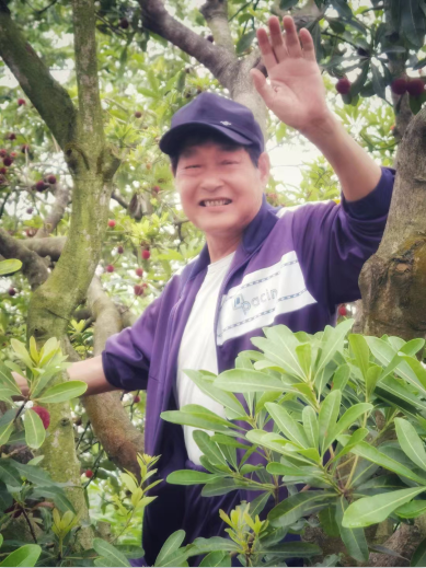 數字時代的多面體魯迅